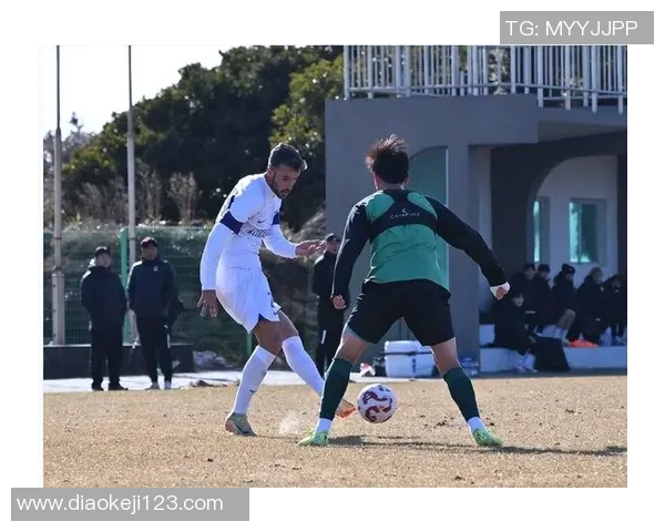 喀麦隆足球队代表球星有哪些他们的成就与影响力解析